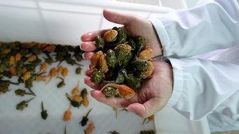 网曝泄密吃瓜事件小炸串花百万,吃瓜群众热议幕后真相