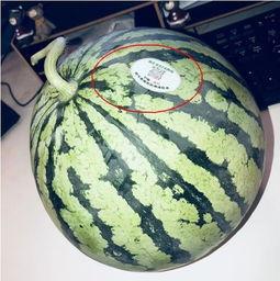 贵溪网红吃瓜,揭秘网络红人的幕后故事