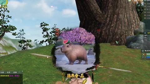 剑网三少林寺吃瓜奇遇,吃瓜奇遇记，揭秘江湖背后的秘密