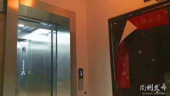 电梯吃瓜网红,揭秘都市生活里的趣味瞬间