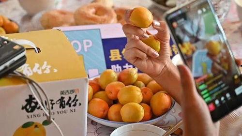 新疆网红事件吃瓜视频,吃瓜群众围观网络风云