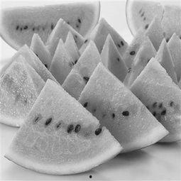 吃瓜神器网红款,揭秘瓜界新宠儿的魅力所在