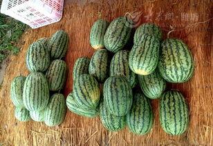 吃瓜网爆最新事件潍坊