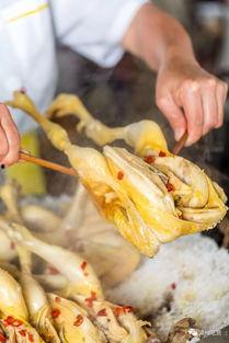 一天只吃网红鸡瓜