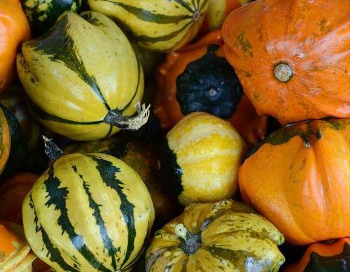 95吃瓜网,揭秘娱乐圈最新热点，带你领略幕后真相