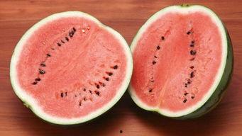 安徽网红八卦吃瓜,揭秘吃瓜群众的狂欢盛宴