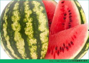 免费每日吃瓜网,揭秘娱乐圈最新热点！