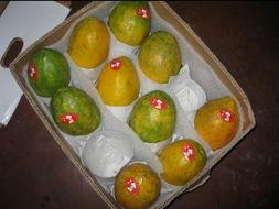 吃瓜台湾网红视频