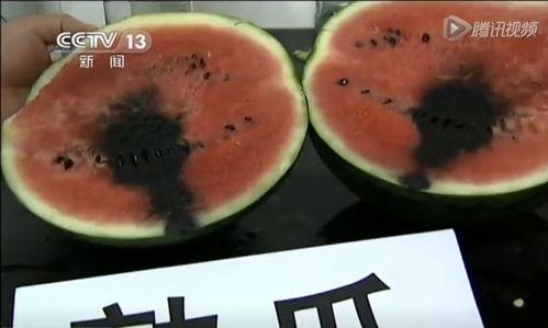 吃瓜网看视频要钱吗,付费还是免费？揭秘真相