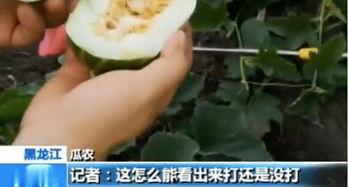 临沂吃瓜网